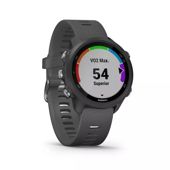 Smartwatch Garmin Forerunner 245 - Negro