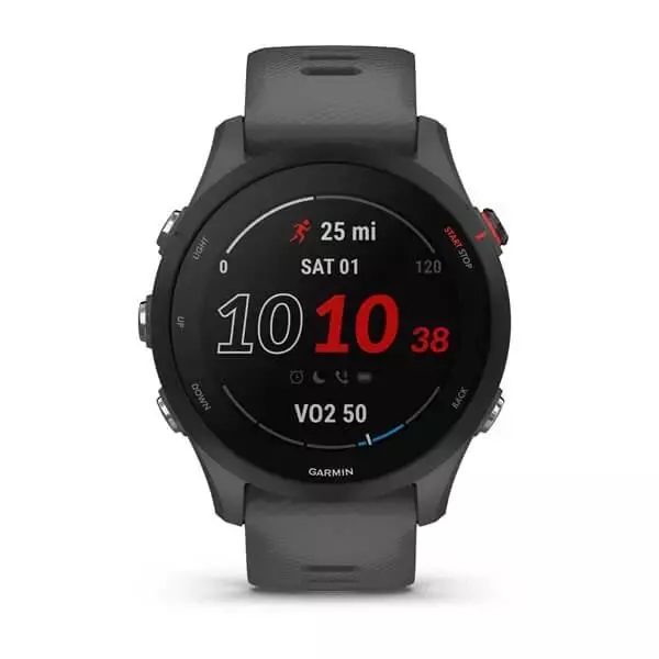Smartwatch Garmin Forerunner 255 - Gris Oscuro