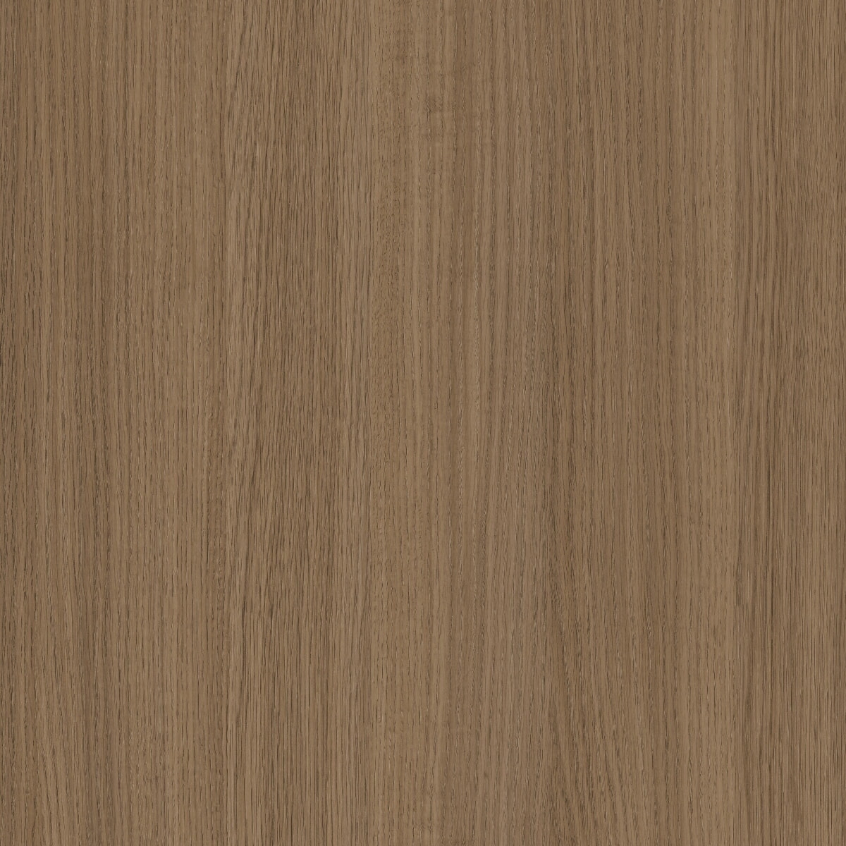 CARV MEZZO / R HALIFAX M H1181 ST37 PVC SIN COLA 50X040 CANTOCHAP