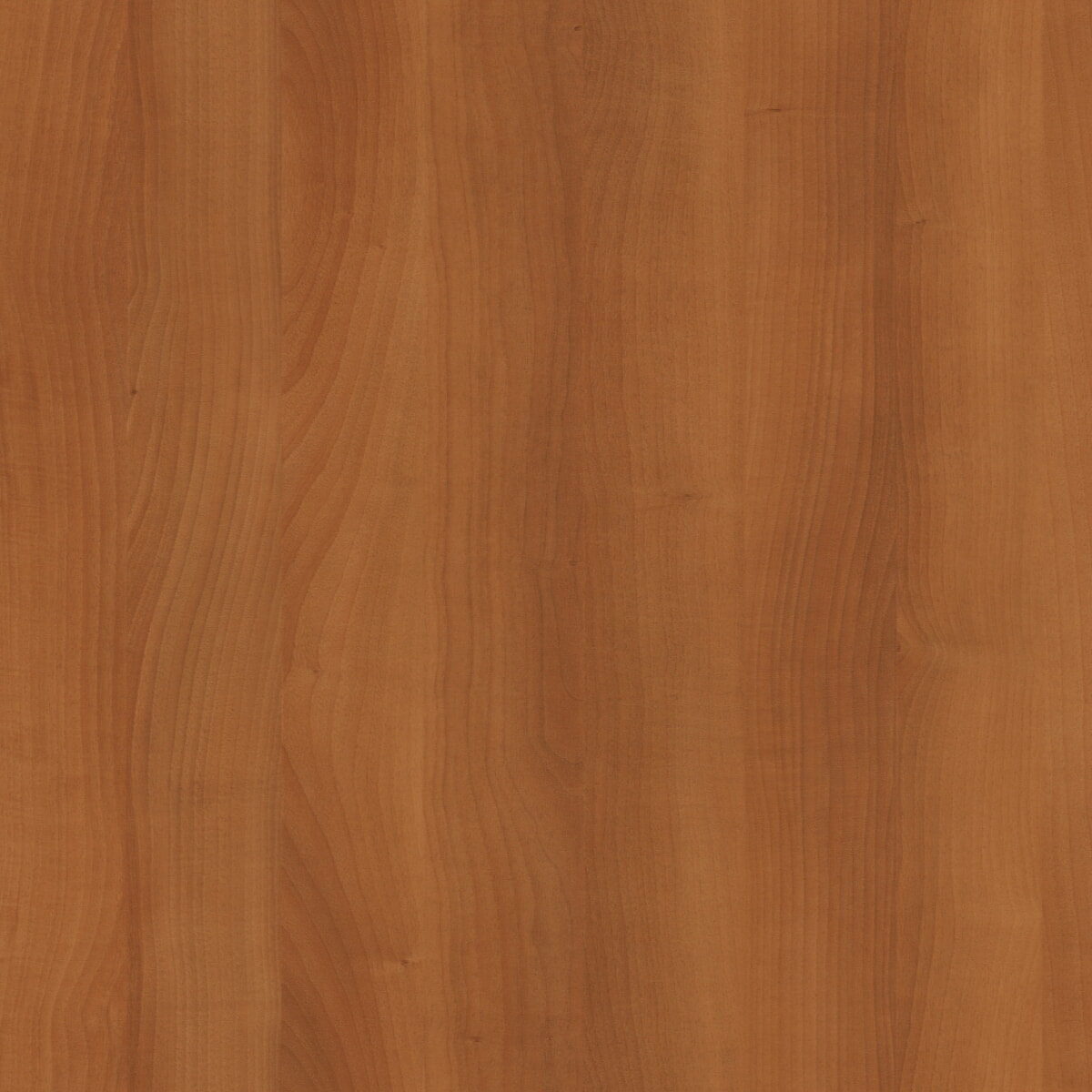 CEDRO NATURE PVC SIN COLA 50X040 CANTOCHAP