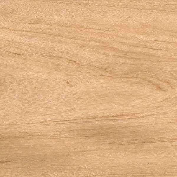 GUATAMBU / ARCE MELAMINICO PREENCOLADO 22X040 CANTOCHAP