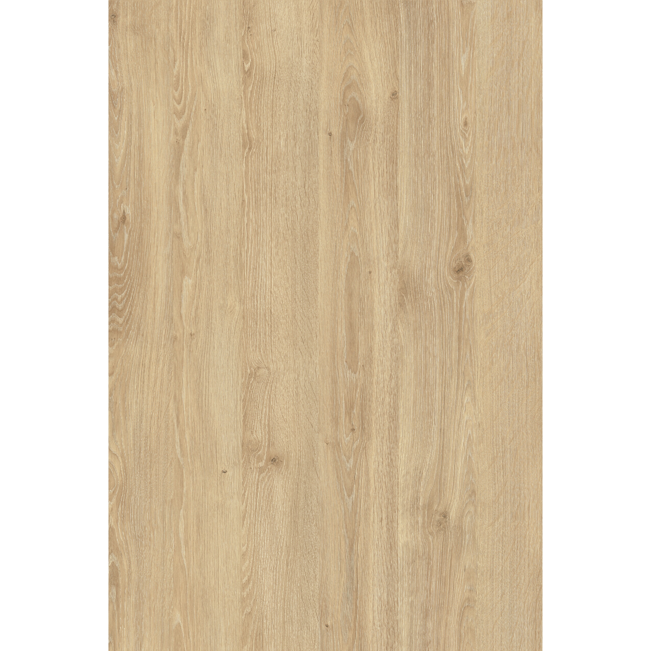 H3131 ROBLE NATURAL DAVOS PVC SIN COLA 50X200 CANTOCHAP
