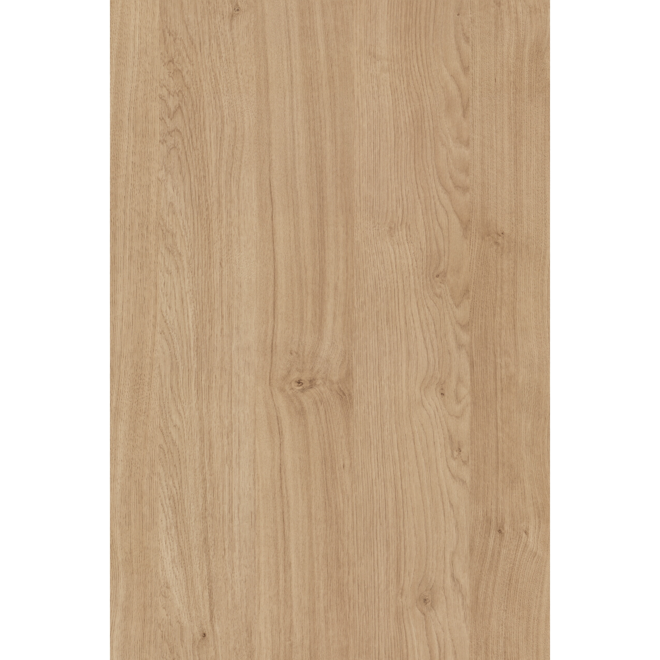 H3170 ROBLE KENDAL MELAMINICO PREENCOLADO 50X040 CANTOCHAP