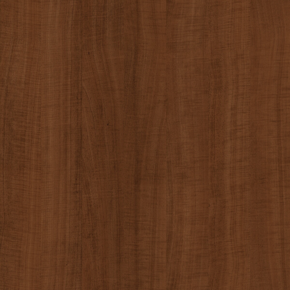 TANGANICA TABACO PVC SIN COLA 29X040 CANTOCHAP