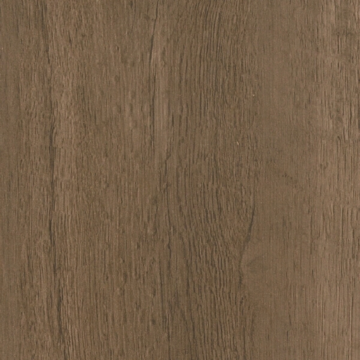TERRARUM / OAK 765 PVC SIN COLA 22X040 CANTOCHAP