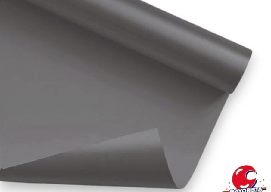 CARTULINA X 1 GRIS - CARPEL