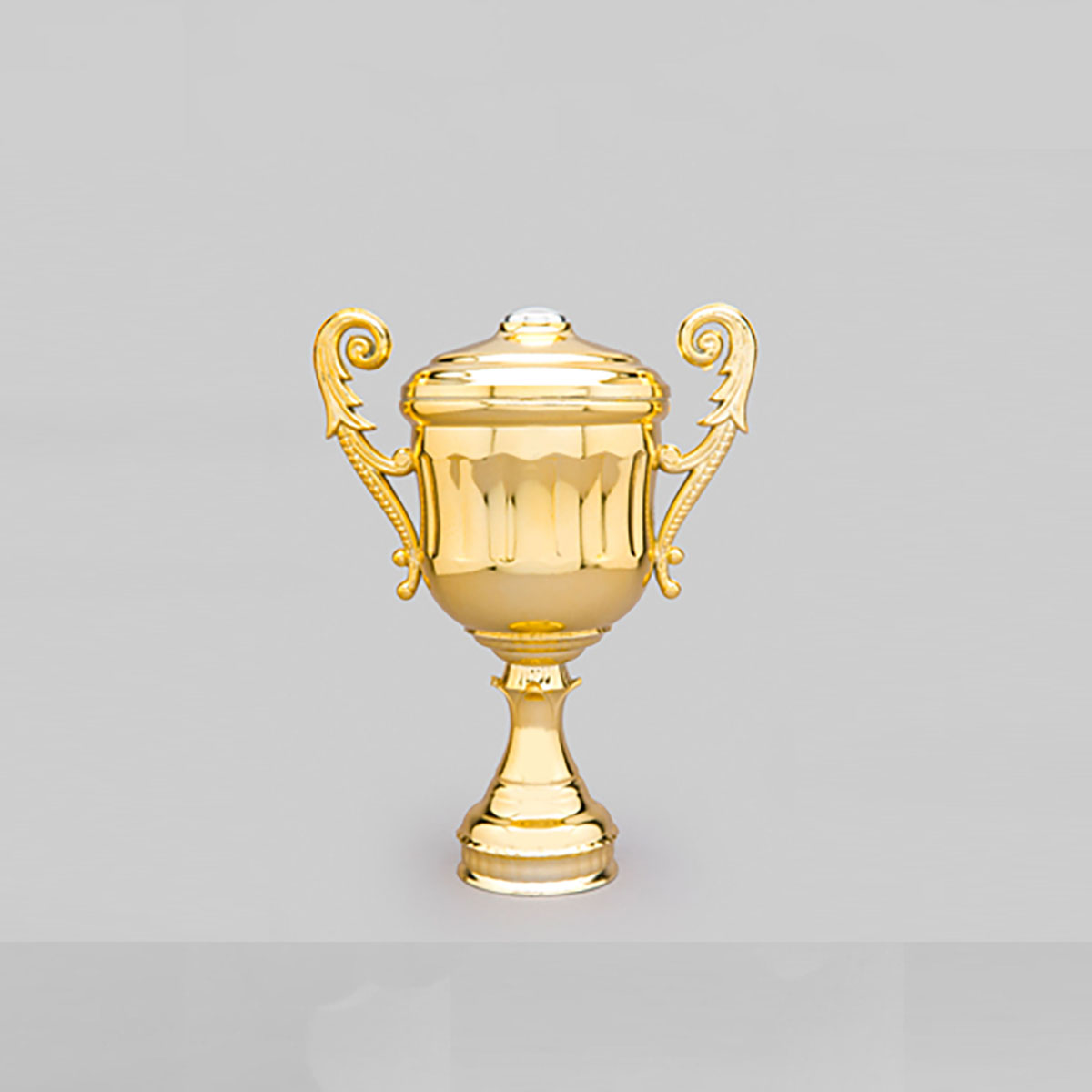 Copa Champion Ch.Con Tapa100 Oro 