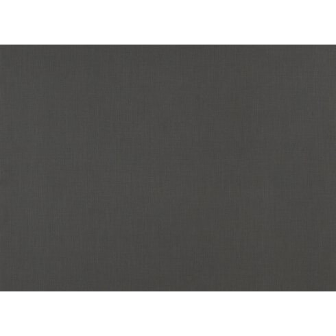 RAMIO CAFE PVC SIN COLA 50X040 CANTOCHAP